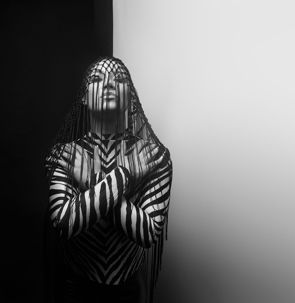 Zebra art print by Mk for $57.95 CAD