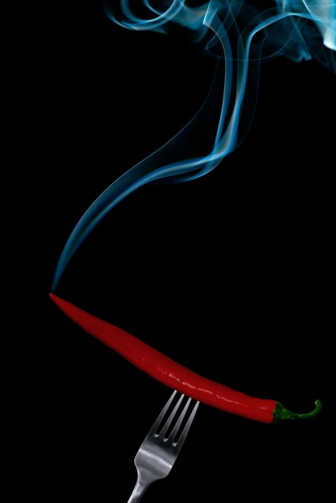 Hot Bite art print by Gert Lavsen for $57.95 CAD