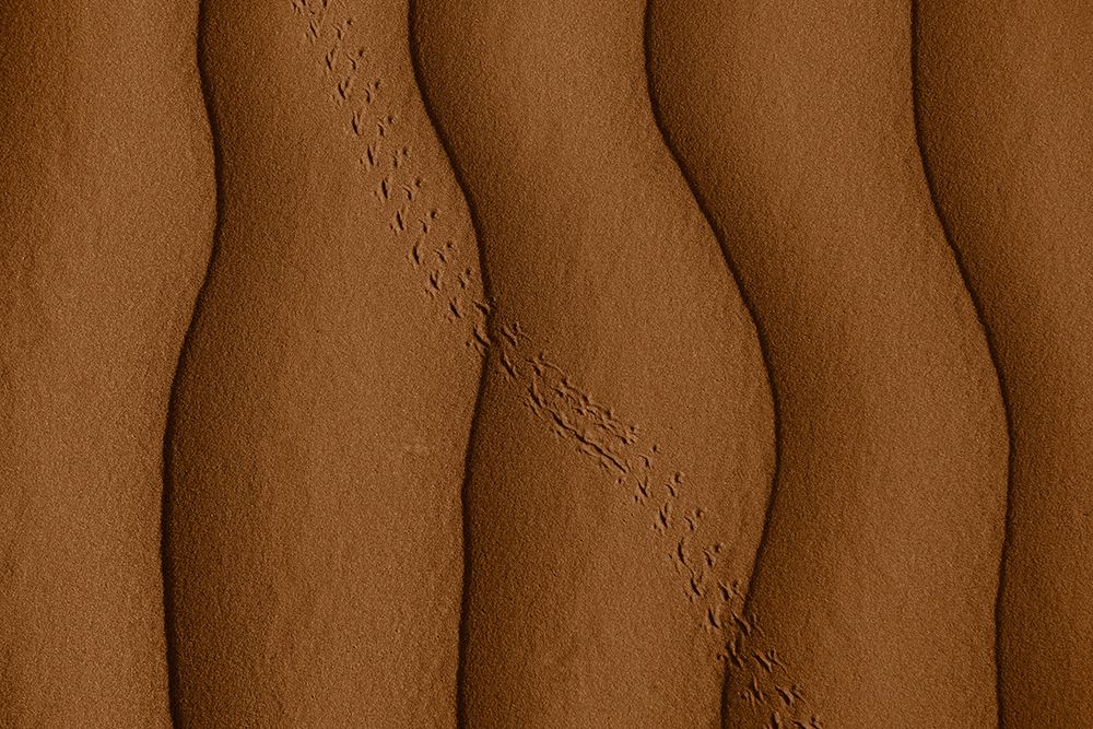 Desert Crossing art print by Abdulqader AlAni for $57.95 CAD
