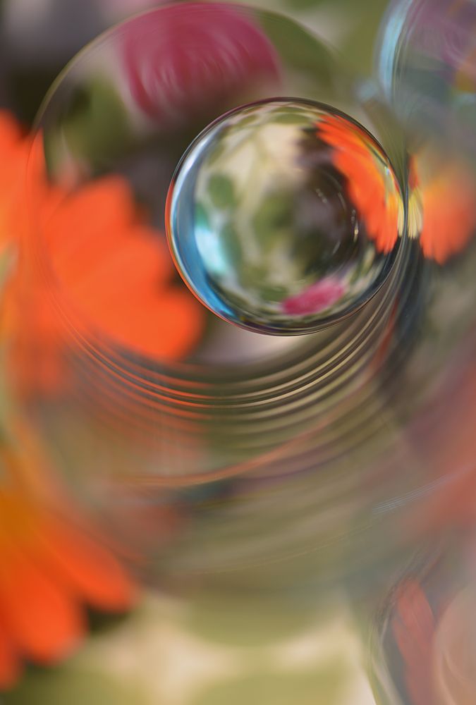 Floral Sphere art print by Heidi Westum for $57.95 CAD