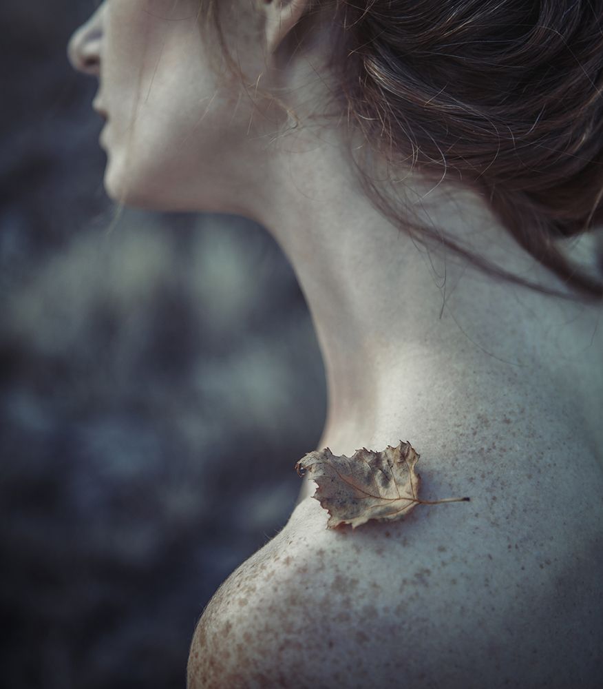 the leaf art print by Magdalena Russocka for $57.95 CAD