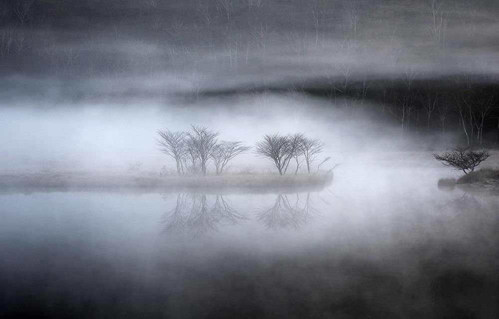 Mysterious Pond art print by Teruo Araya for $57.95 CAD