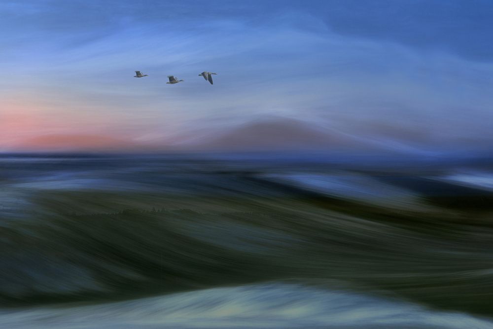 Migrants art print by Bjorn Emanuelson for $57.95 CAD