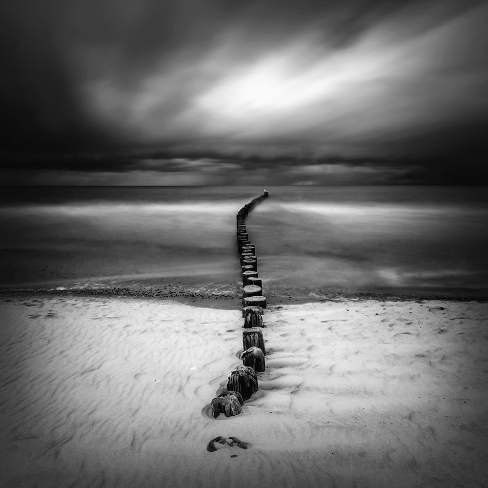 Ssss art print by Piotr Krol for $57.95 CAD