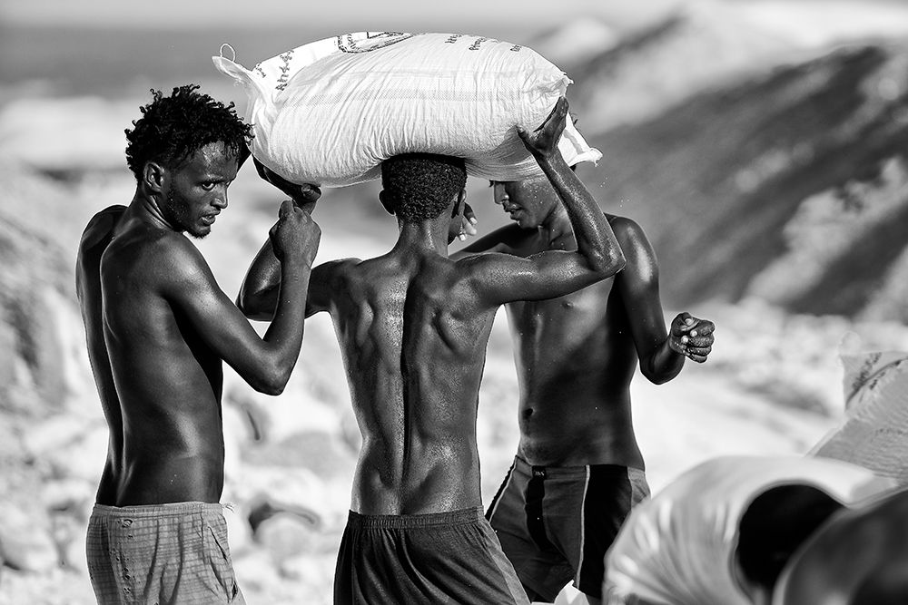 Salt And Sweat art print by Trevor Cole for $57.95 CAD
