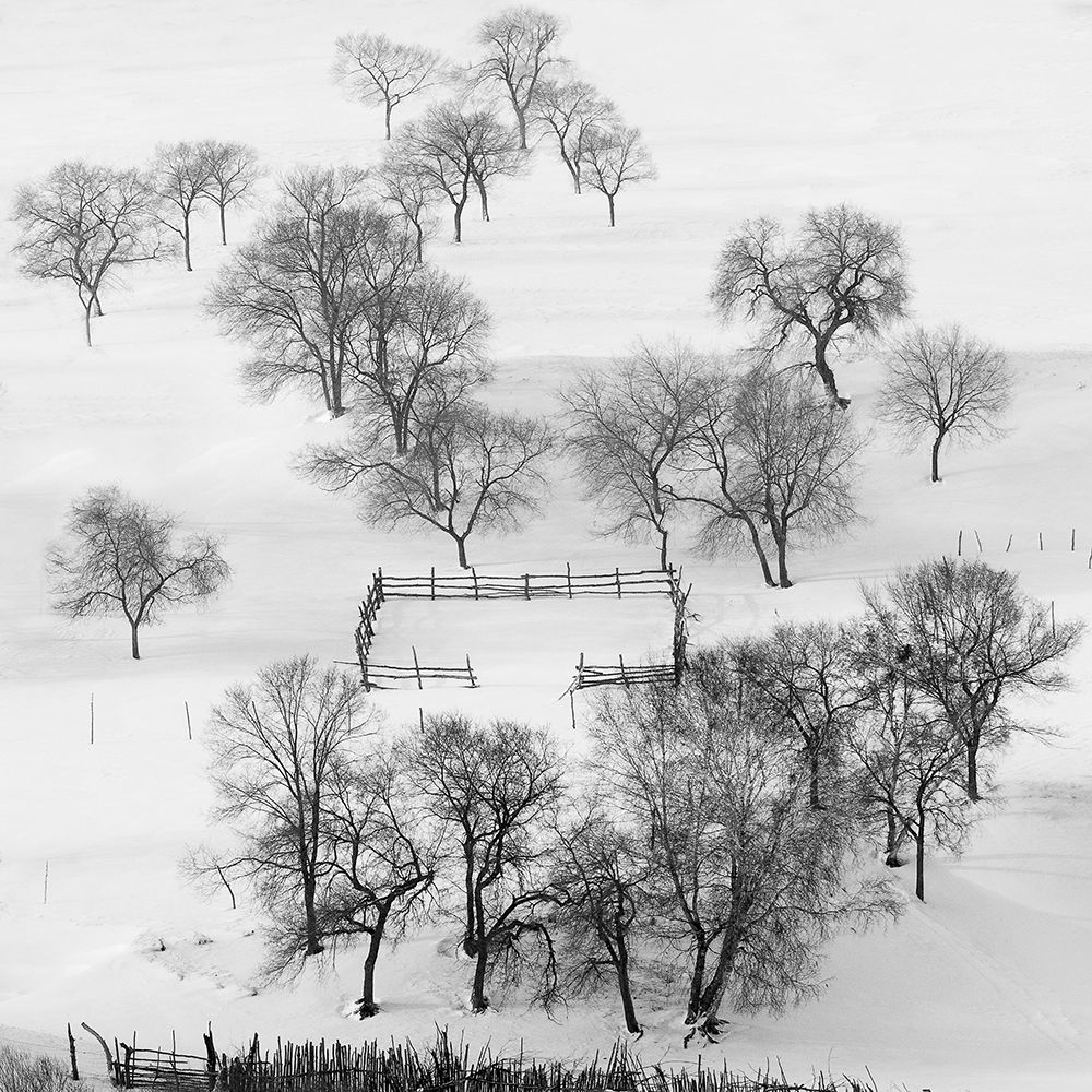 Black And White World, Quietly Waiting. art print by Shu-Guang Yang for $57.95 CAD