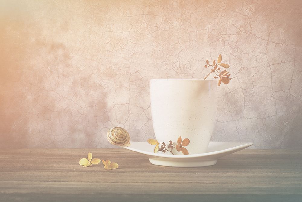 Soft Light art print by Sophie Pan for $57.95 CAD