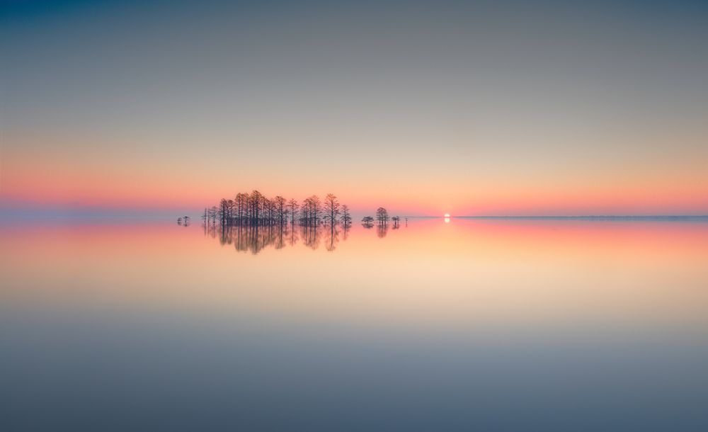 Lake Mattamuskeet Memory art print by Liyun Yu for $57.95 CAD
