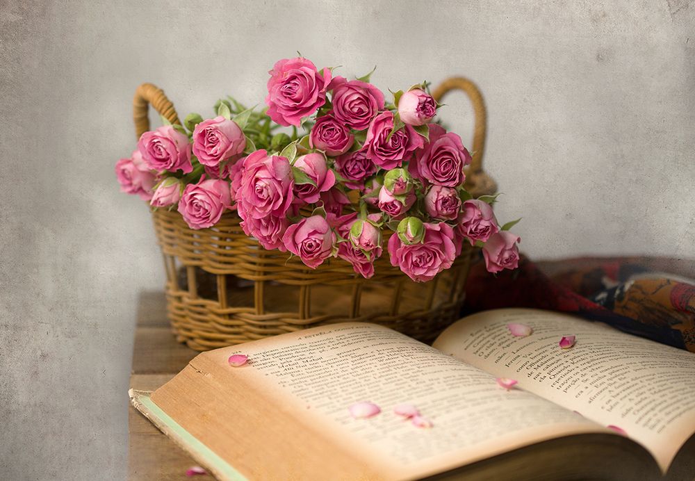 My prize art print by Margareth Perfoncio for $57.95 CAD