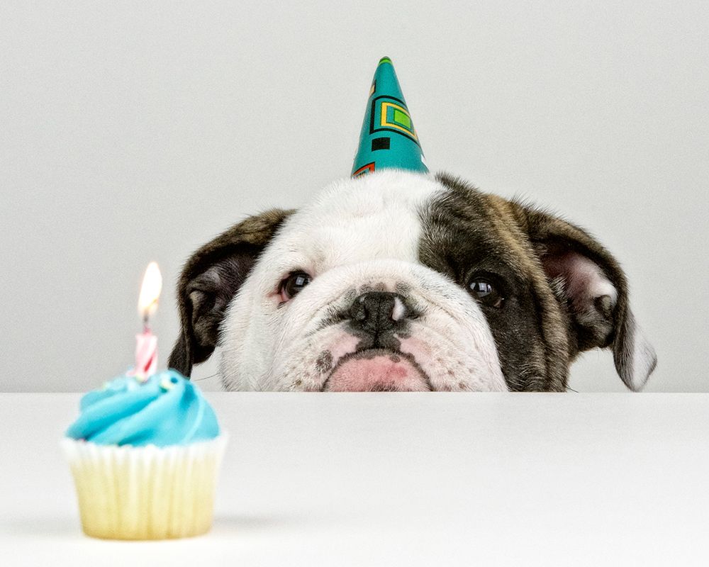 A Little Birthday art print by Mike Melnotte for $57.95 CAD