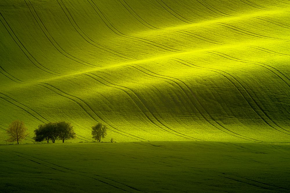 Sunlight art print by Peter Banny for $57.95 CAD