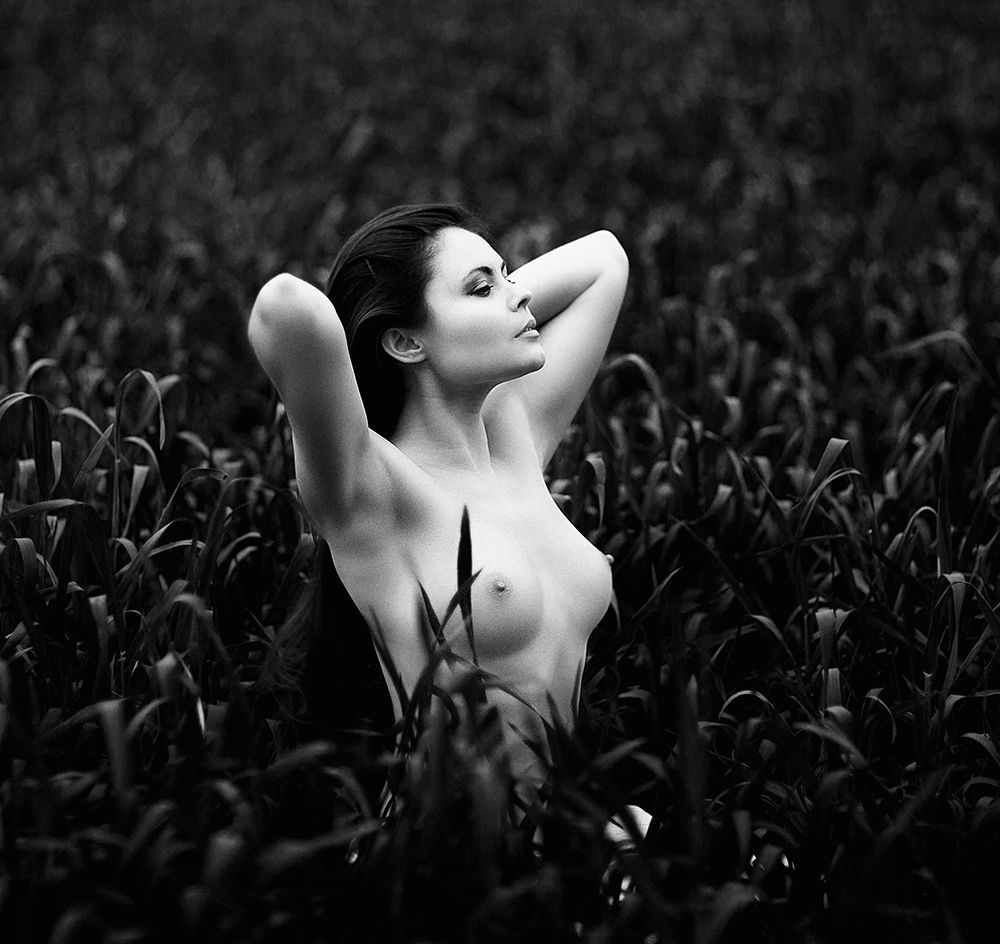 Maris art print by Zachar Rise for $57.95 CAD