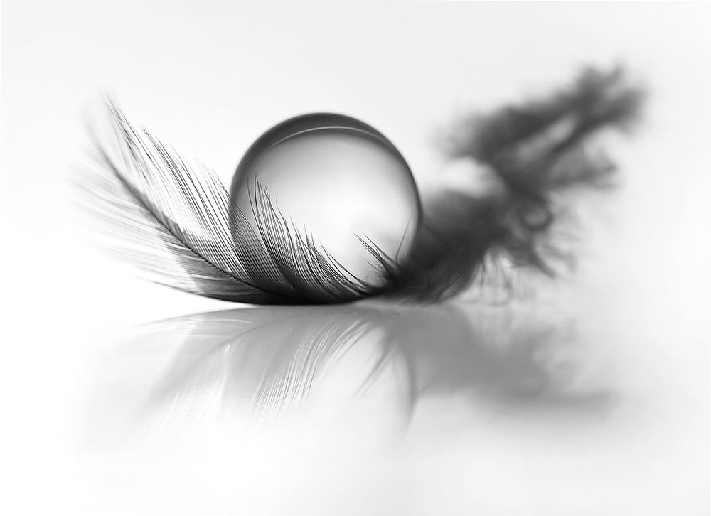 Lightness art print by Aida Ianeva for $57.95 CAD
