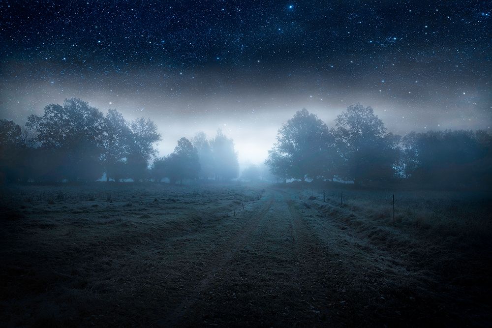 Visions Of The Night art print by Christian Lindsten for $57.95 CAD
