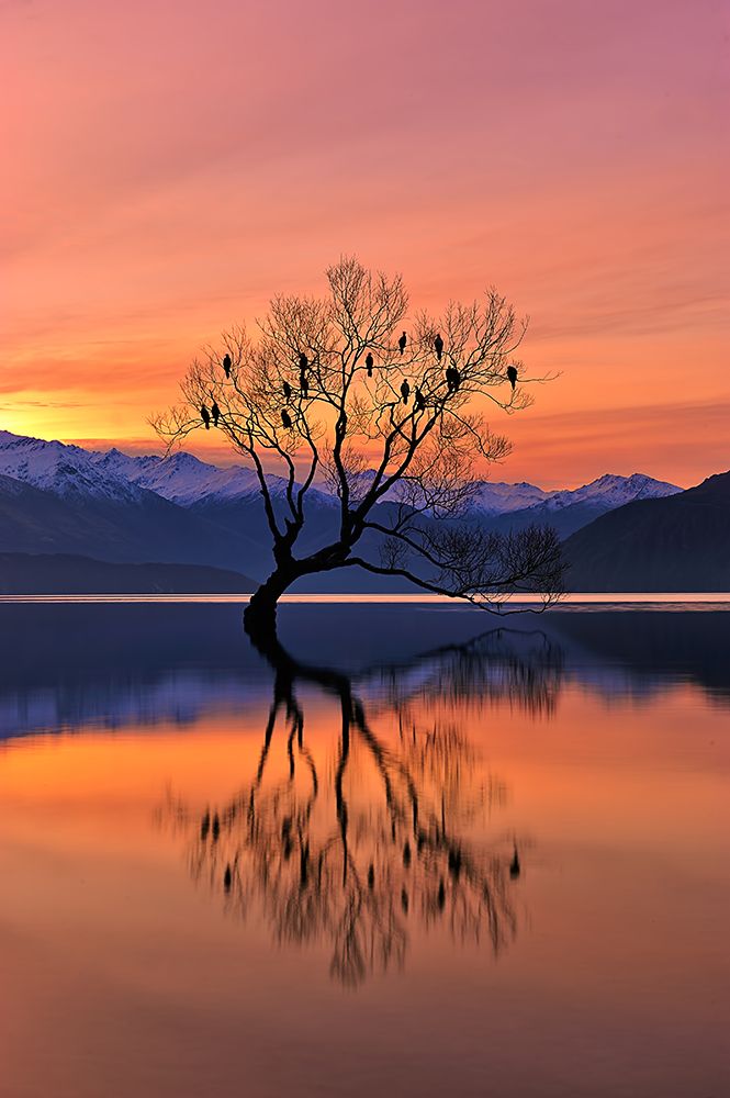 Lone Tree Is Not Lonely art print by Mei Xu for $57.95 CAD