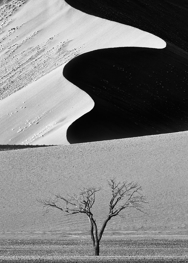 Dune Curves art print by Ali Khataw for $57.95 CAD