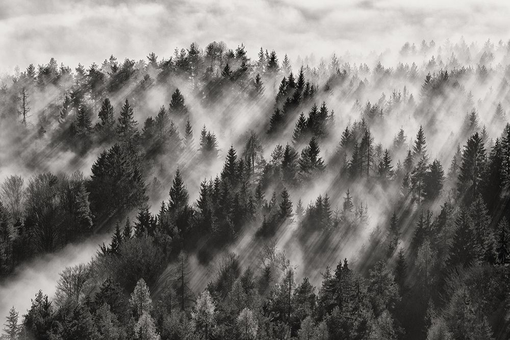 Sundance No.1 art print by Davorin Baloh for $57.95 CAD