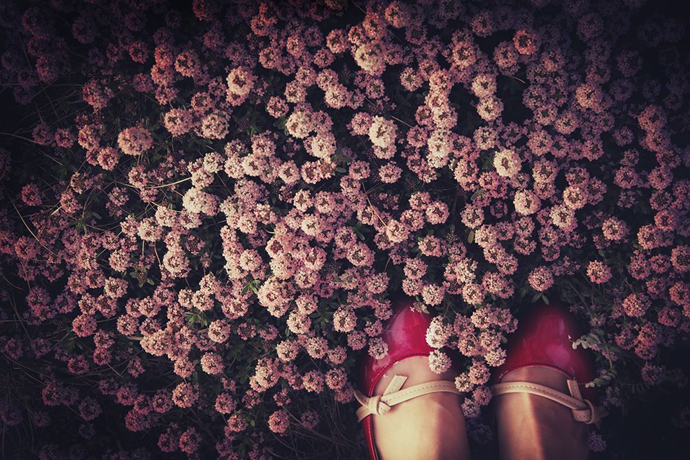 Thyme Carpet art print by Takako Fukaya for $57.95 CAD