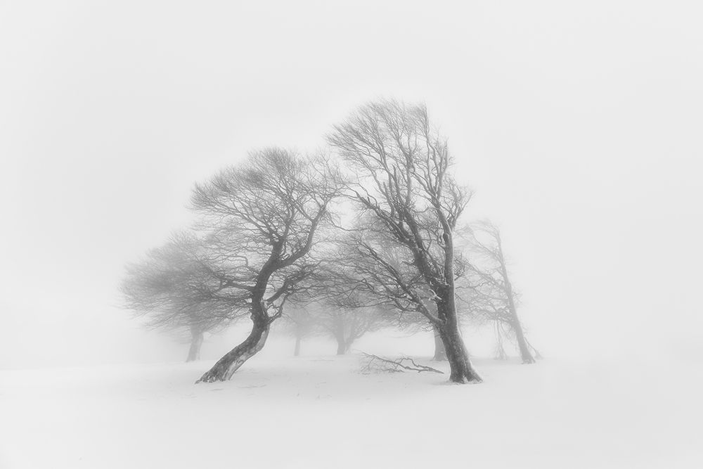 Together art print by Fotoea for $57.95 CAD