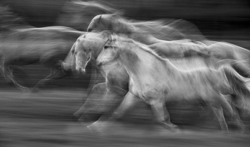 in motion art print by Milan Malovrh for $57.95 CAD