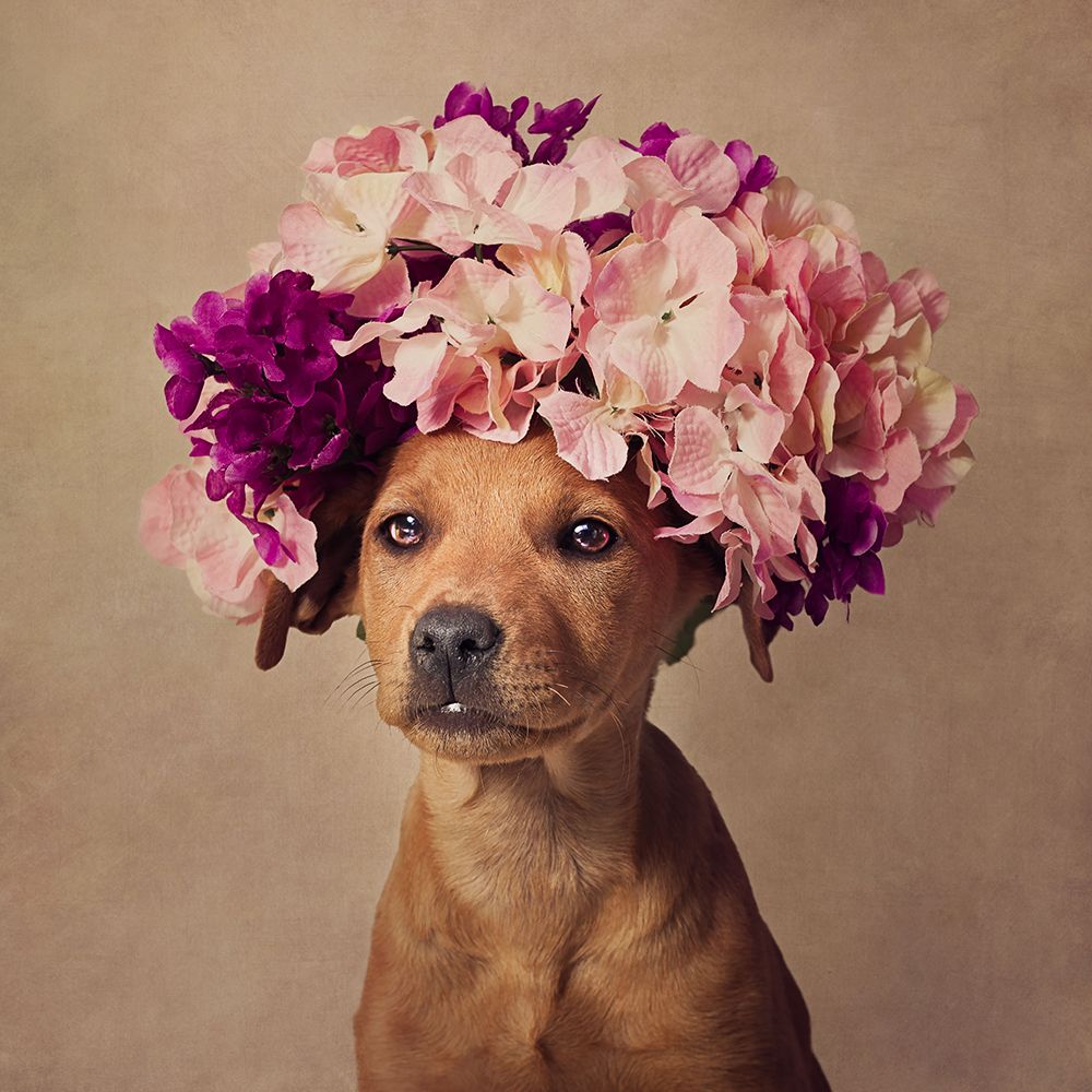 Lady art print by Tammy Swarek for $57.95 CAD