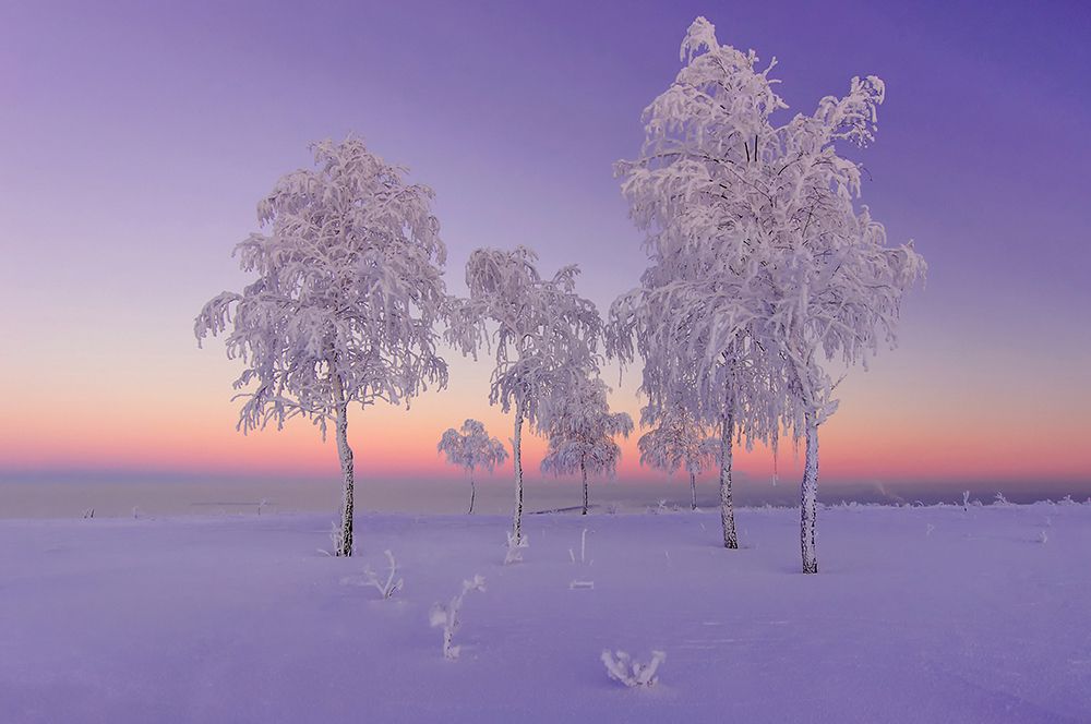 January Evening art print by Ruslan Makhmud-Akhunov for $57.95 CAD