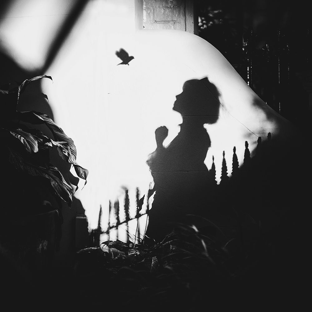 Shadows On The Wall art print by Terry F for $57.95 CAD