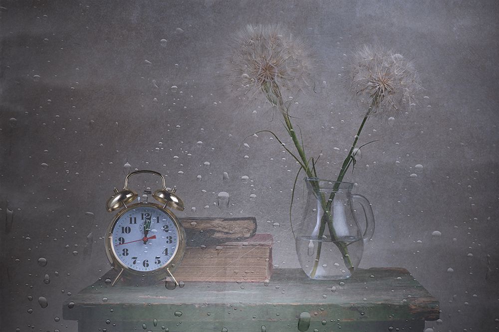 Geropogon Ttime art print by Saleh Swid for $57.95 CAD