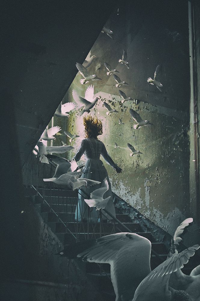 Do art print by Ewa Cwikla for $57.95 CAD