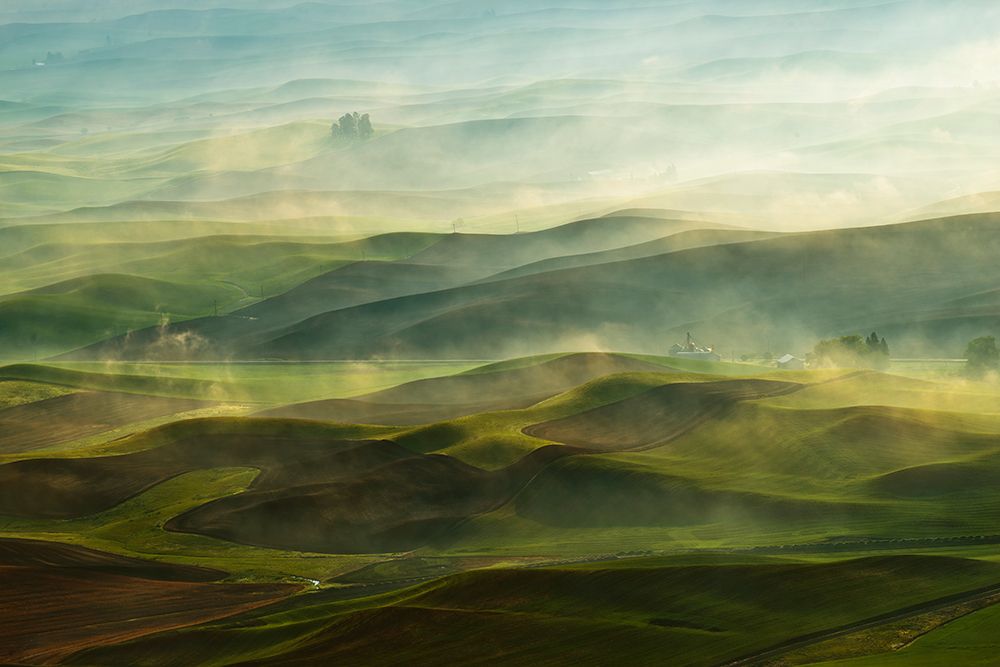 Golden Morning-Palouse art print by Jikui Shen for $57.95 CAD