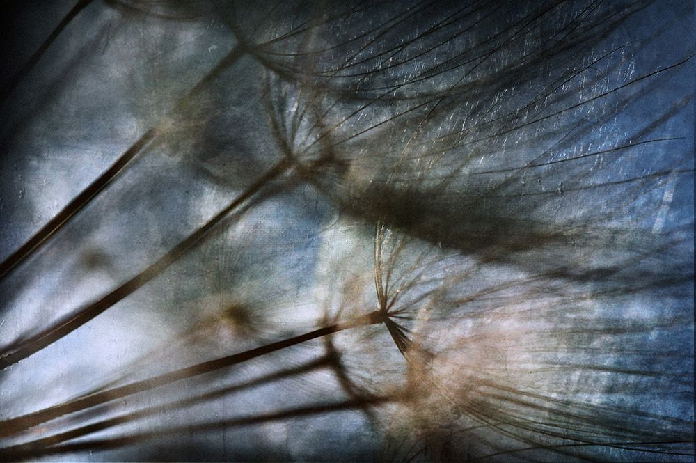 Untitled art print by Antonio Grambone for $57.95 CAD