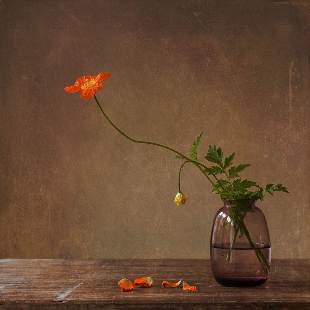 A Story With Orange Poppies art print by Galina Bunkova for $57.95 CAD