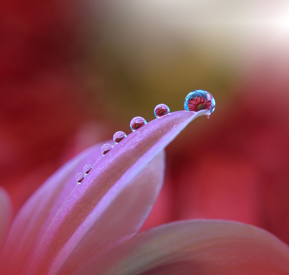 Behind Closed Eyes... art print by Juliana Nan for $57.95 CAD