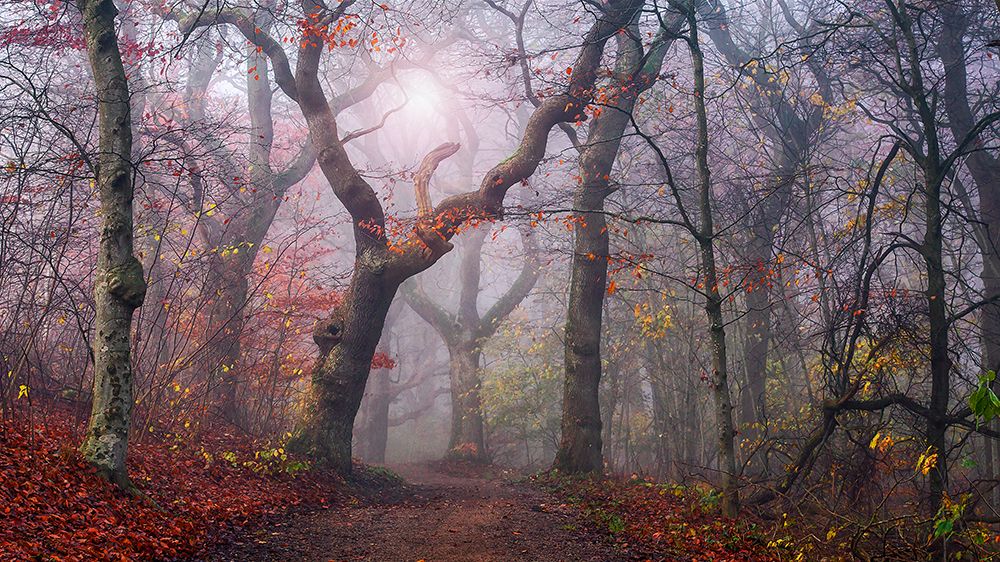 Walking The Old Path. art print by Leif Londal for $57.95 CAD
