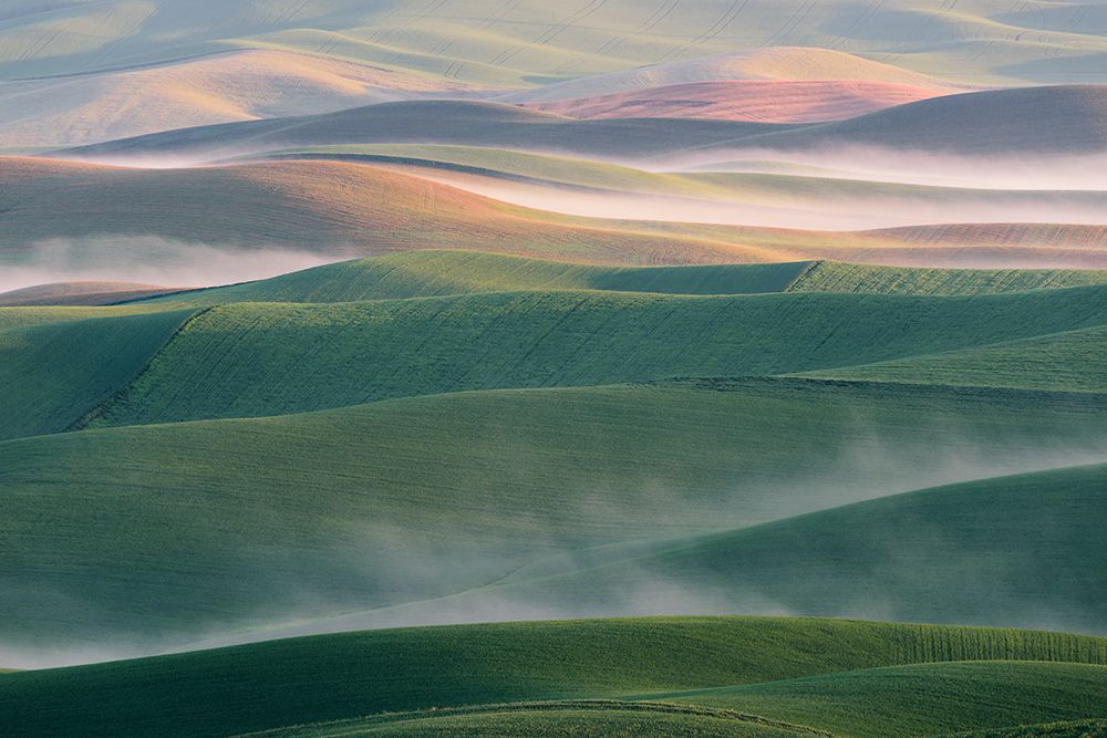 Foggy Morning art print by Austin for $57.95 CAD