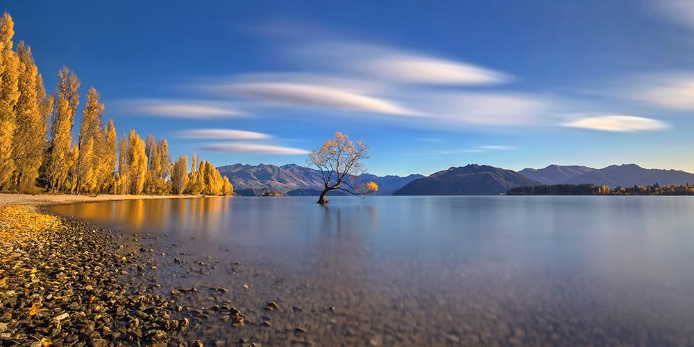 Autumn In Lake Wanaka art print by Hua Zhu for $57.95 CAD