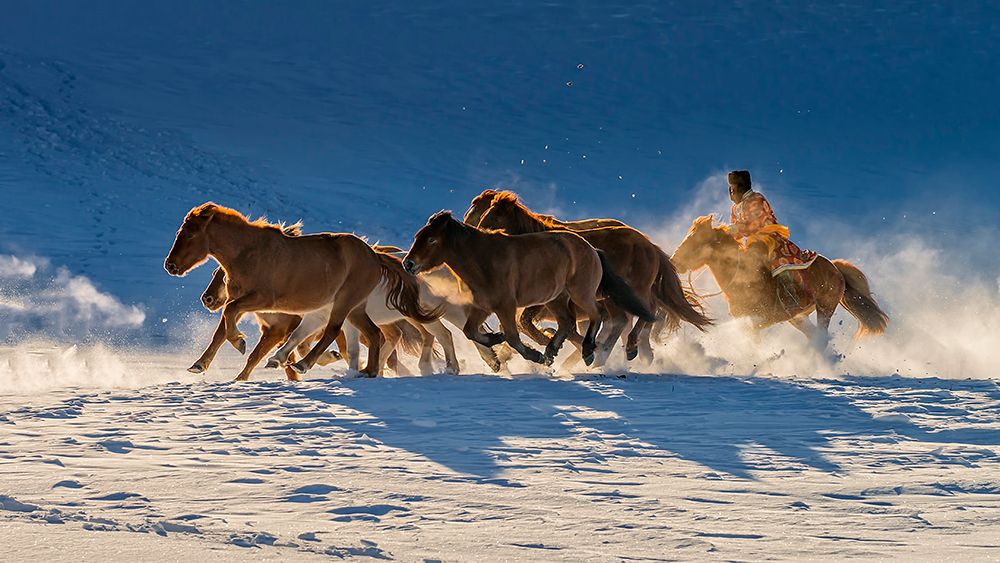 Racing in snow art print by Hua Zhu for $57.95 CAD