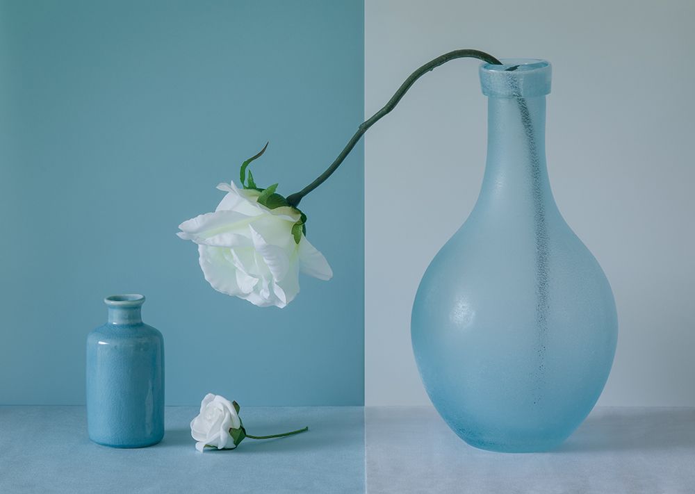 Out of the Vase art print by Jacqueline Hammer for $57.95 CAD