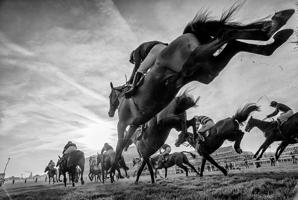 Cheltenham Jumps Festival art print by Sharon Lee Chapman for $57.95 CAD