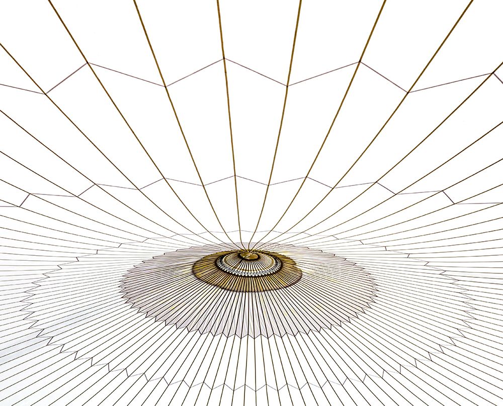 Spider web. art print by Harry Verschelden for $57.95 CAD
