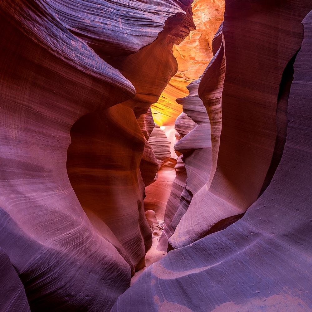 Fire In Canyon art print by Sandipan Biswas for $57.95 CAD