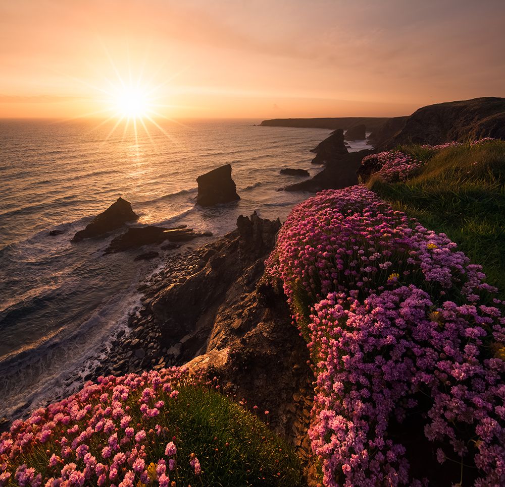 Flowers of the sea art print by Milos Lach for $57.95 CAD