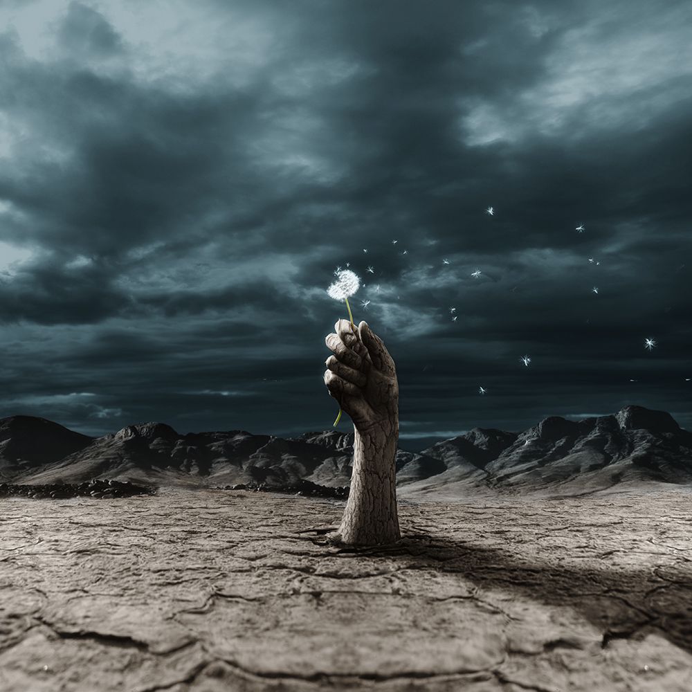 The End art print by Terry F for $57.95 CAD