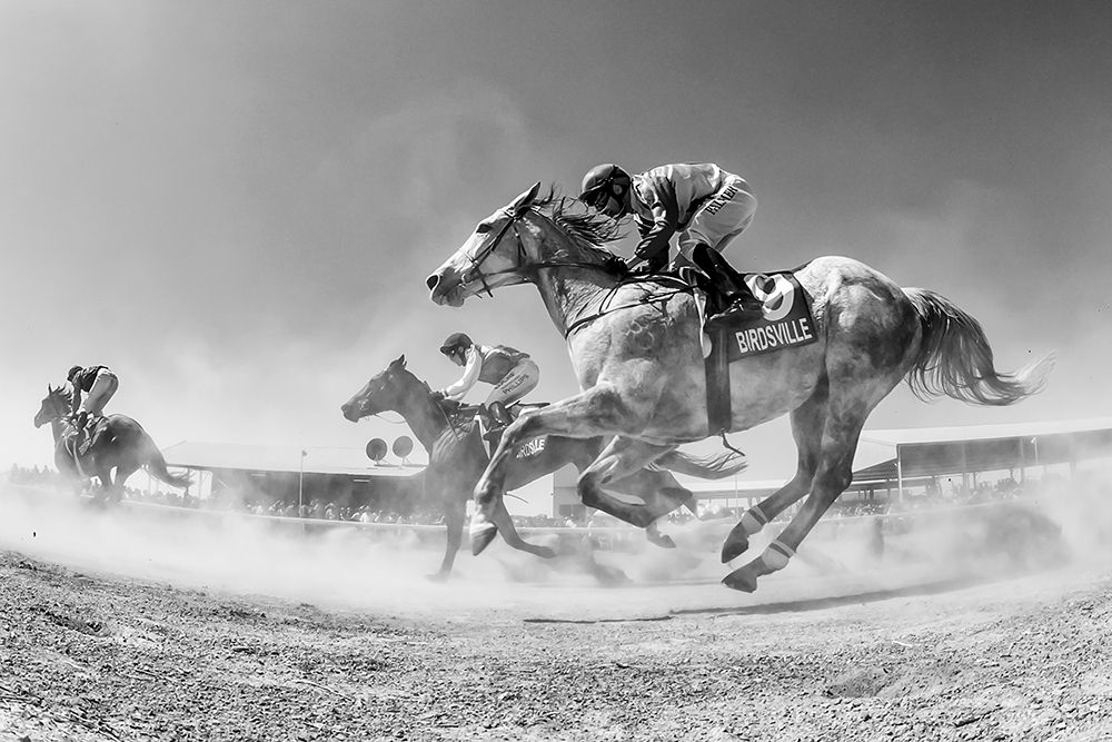 Birdsville Through The Dust art print by Sharon Lee Chapman for $57.95 CAD