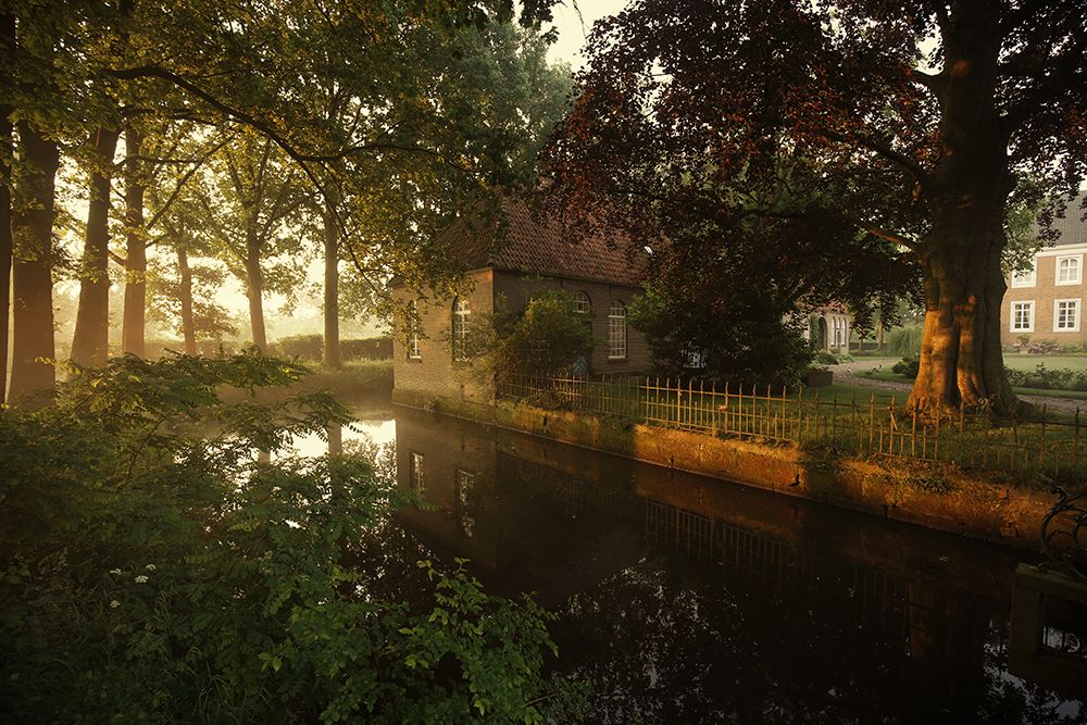 Golden Wake Up art print by Vincent Croce for $57.95 CAD