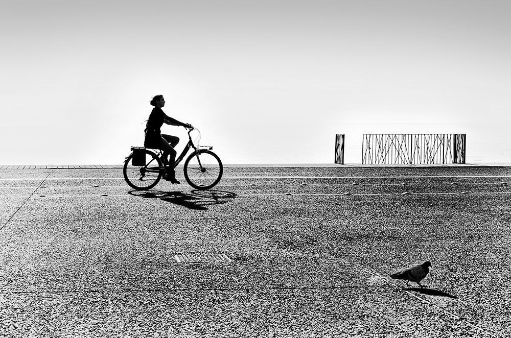 Bicycle Stories art print by George Digalakis for $57.95 CAD