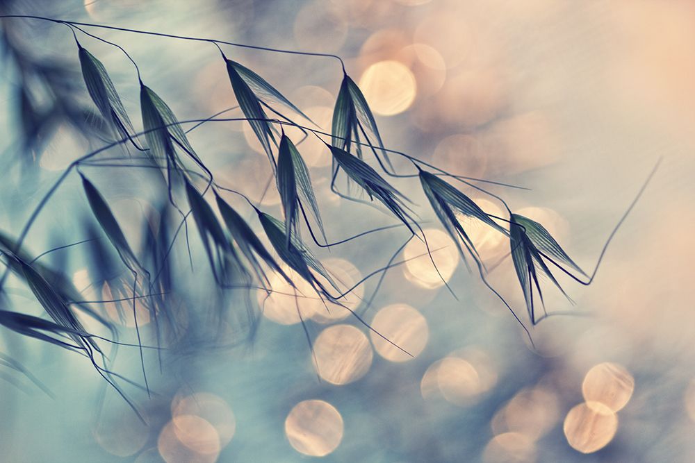 ...Lll art print by Dimitar Lazarov for $57.95 CAD