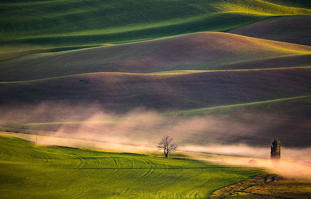 Sunset in Palouse art print by April Xie for $57.95 CAD