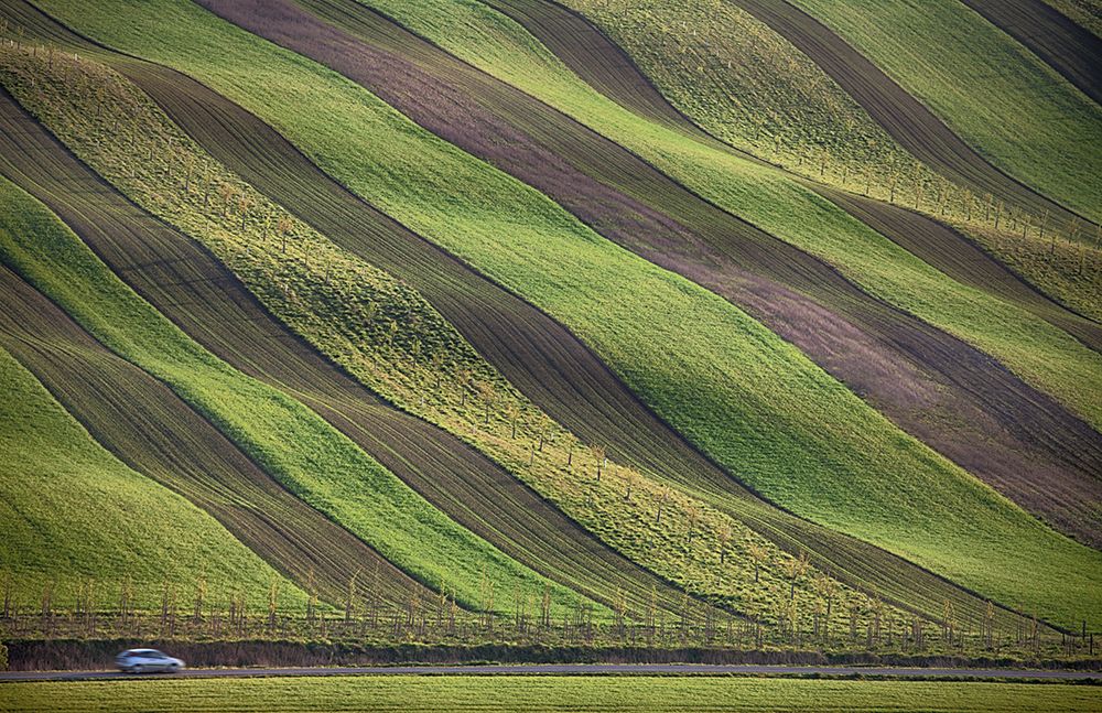 Stripes in the fields art print by Peter Svoboda for $57.95 CAD