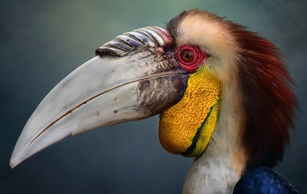 Jabrix art print by Fahmi Bhs for $57.95 CAD